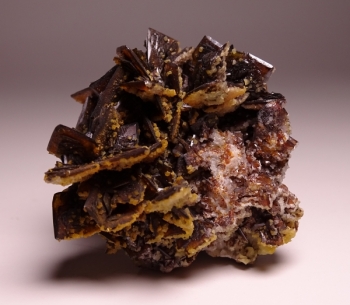 Descloizite from Berg Aukas Mine, Grootfontein, SW Africa [db_pics/pics/DSC01213.jpg]