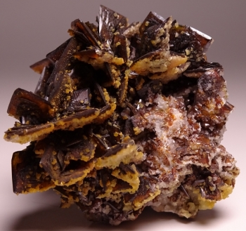 Descloizite from Berg Aukas Mine, Grootfontein, SW Africa [db_pics/pics/DSC01214.jpg]