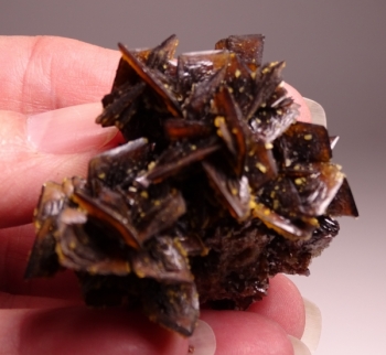 Descloizite from Berg Aukas Mine, Grootfontein, SW Africa [db_pics/pics/DSC01217.jpg]