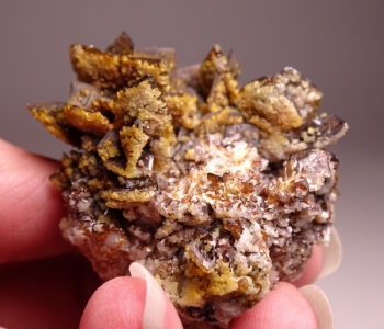 Descloizite from Berg Aukas Mine, Grootfontein, SW Africa [db_pics/pics/DSC01218.jpg]