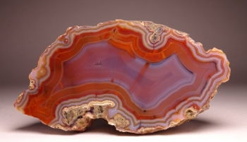 Condor Agate from San Rafael, Mendoza Province, Argentina [db_pics/pics/DSC04447.jpg]