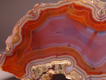 Condor Agate from San Rafael, Mendoza Province, Argentina [db_pics/pics/DSC04449.jpg]