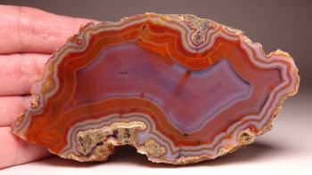 Condor Agate from San Rafael, Mendoza Province, Argentina [db_pics/pics/DSC04450.jpg]