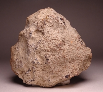 Condor Agate from San Rafael, Mendoza Province, Argentina [db_pics/pics/DSC04467.jpg]