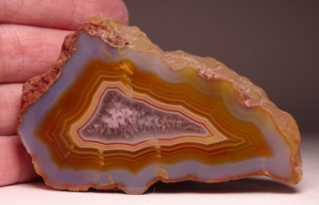 Condor Agate from San Rafael, Mendoza Province, Argentina [db_pics/pics/DSC04477.jpg]