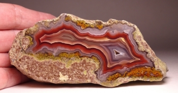 Agua Nueva Agate from Rancho Agua Nueva, Chihuahua, Mexico [db_pics/pics/DSC04488.jpg]