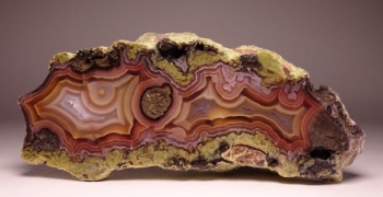 Agua Nueva Agate from Rancho Agua Nueva, Chihuahua, Mexico [db_pics/pics/DSC04564.jpg]