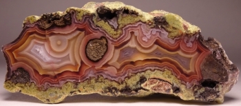 Agua Nueva Agate from Rancho Agua Nueva, Chihuahua, Mexico [db_pics/pics/DSC04565.jpg]