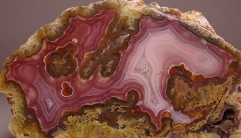 Agua Nueva Agate from Rancho Agua Nueva, Chihuahua, Mexico [db_pics/pics/DSC04572.jpg]