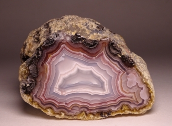 Agua Nueva Agate from Rancho Agua Nueva, Chihuahua, Mexico [db_pics/pics/DSC04581.jpg]