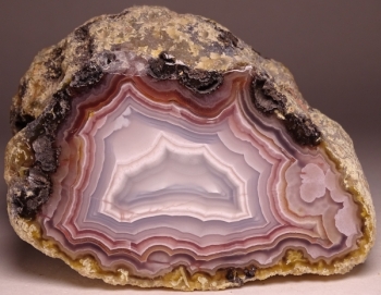 Agua Nueva Agate from Rancho Agua Nueva, Chihuahua, Mexico [db_pics/pics/DSC04582.jpg]