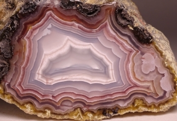 Agua Nueva Agate from Rancho Agua Nueva, Chihuahua, Mexico [db_pics/pics/DSC04583.jpg]