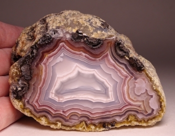 Agua Nueva Agate from Rancho Agua Nueva, Chihuahua, Mexico [db_pics/pics/DSC04584.jpg]