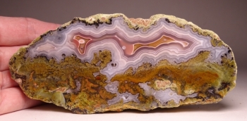 Agua Nueva Agate from Rancho Agua Nueva, Chihuahua, Mexico [db_pics/pics/DSC04590.jpg]