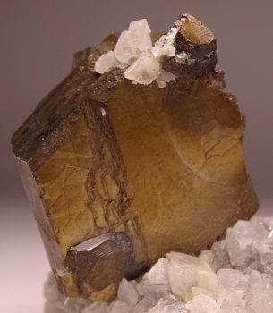 Pyrrhotite on Dolomite from Nova Lima, Minas Gerais, Brazil [db_pics/pics/DSC04764.jpg]