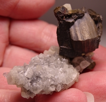 Pyrrhotite on Dolomite from Nova Lima, Minas Gerais, Brazil [db_pics/pics/DSC04767.jpg]