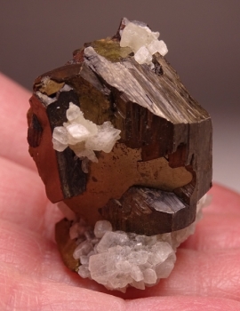 Pyrrhotite on Dolomite from Nova Lima, Minas Gerais, Brazil [db_pics/pics/DSC04769.jpg]