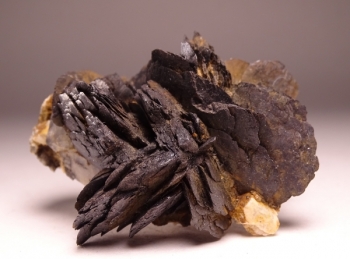 Goethite, Smoky Quartz, Microcline and Albite from 2nd Mesabi Claim, Park County, Colorado [db_pics/pics/DSC04770.jpg]