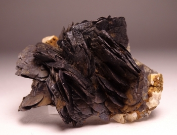 Goethite, Smoky Quartz, Microcline and Albite from 2nd Mesabi Claim, Park County, Colorado [db_pics/pics/DSC04772.jpg]