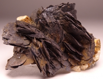 Goethite, Smoky Quartz, Microcline and Albite from 2nd Mesabi Claim, Park County, Colorado [db_pics/pics/DSC04773.jpg]