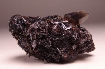 Goethite & Secondary Quartz on Smoky Quartz from 2nd Mesabi Claim, Park County, Colorado [db_pics/pics/DSC04776.jpg]