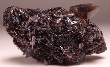 Goethite & Secondary Quartz on Smoky Quartz from 2nd Mesabi Claim, Park County, Colorado [db_pics/pics/DSC04777.jpg]