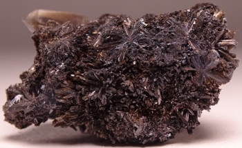 Goethite & Secondary Quartz on Smoky Quartz from 2nd Mesabi Claim, Park County, Colorado [db_pics/pics/DSC04779.jpg]