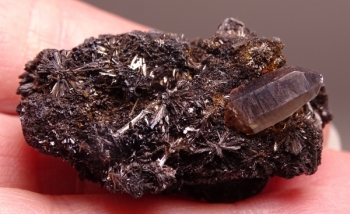 Goethite & Secondary Quartz on Smoky Quartz from 2nd Mesabi Claim, Park County, Colorado [db_pics/pics/DSC04781.jpg]