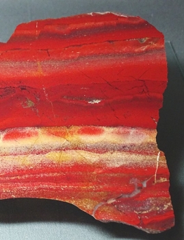 Namibian Jasper from Damaraland, Namibia [db_pics/pics/MGA13-image3.JPG]