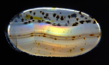 Montana Moss Agate w/Rainbow Iris from Yellowstone River Alluvial Gravels, Montana, USA [db_pics/pics/RMA100-image2.JPG]