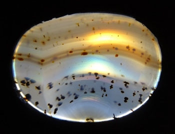 Montana Moss Agate w/Rainbow Iris from Yellowstone River Alluvial Gravels, Montana, USA [db_pics/pics/RMA94-image2.JPG]