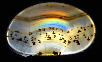 Montana Moss Agate w/Rainbow Iris from Yellowstone River Alluvial Gravels, Montana, USA [db_pics/pics/RMA95-image.JPG]