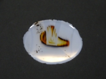 Montana Moss Agate w/Rainbow Iris from Yellowstone River Alluvial Gravels, Montana, USA [db_pics/pics/RMA99-image3.JPG]