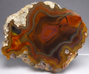 Condor Agate from San Rafael, Mendoza Province, Argentina [db_pics/pics/b_DSC05117.jpg]