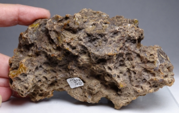 Condor Agate from San Rafael, Mendoza Province, Argentina [db_pics/pics/b_DSC05162.jpg]