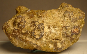 Condor Agate from San Rafael, Mendoza Province, Argentina [db_pics/pics/b_DSC05188.jpg]