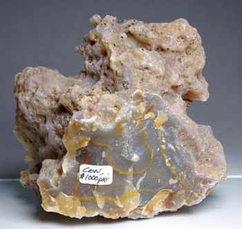 Condor Agate from San Rafael, Mendoza Province, Argentina [db_pics/pics/b_DSC05206.jpg]