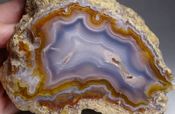 Coyamito Agate from Rancho Coyamito, Chihuahua, Mexico [db_pics/pics/b_DSC05233.jpg]