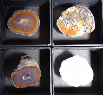 Laguna & Coyamito Collector Box from Chihuahua, Mexico [db_pics/pics/b_DSC05870.jpg]