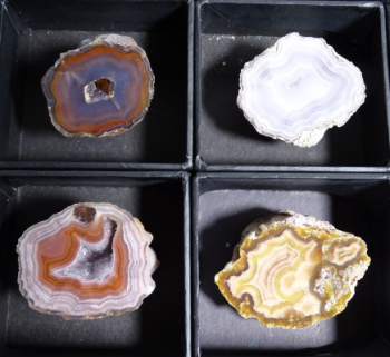 Laguna & Coyamito Collector Box from Chihuahua, Mexico [db_pics/pics/b_DSC05873.jpg]