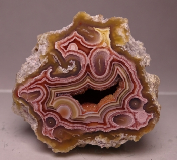 Laguna & Coyamito Collector Box from Chihuahua, Mexico [db_pics/pics/b_DSC05899.jpg]