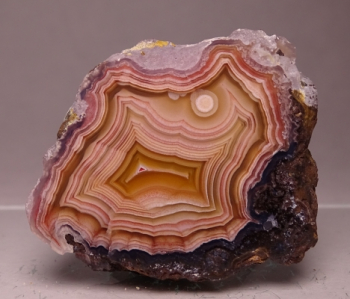 Laguna & Coyamito Collector Box from Chihuahua, Mexico [db_pics/pics/b_DSC05903.jpg]