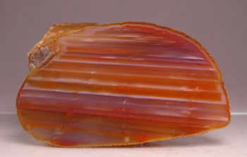 Agate Creek Agate from Etheridge Shire, Queensland, Australia [db_pics/pics/b_DSC05922.jpg]