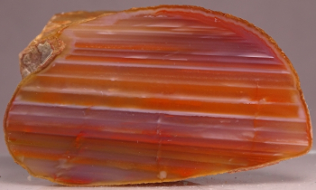 Agate Creek Agate from Etheridge Shire, Queensland, Australia [db_pics/pics/b_DSC05923.jpg]