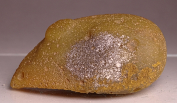 Agate Creek Agate from Etheridge Shire, Queensland, Australia [db_pics/pics/b_DSC05930.jpg]