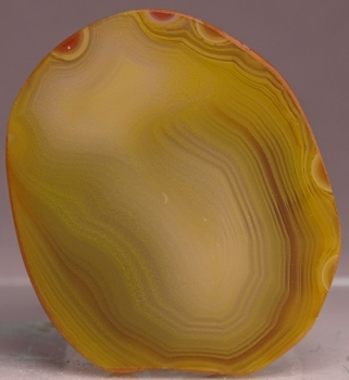 Agate Creek Agate from Etheridge Shire, Queensland, Australia [db_pics/pics/b_DSC05936.jpg]