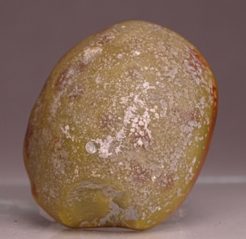 Agate Creek Agate from Etheridge Shire, Queensland, Australia [db_pics/pics/b_DSC05938.jpg]