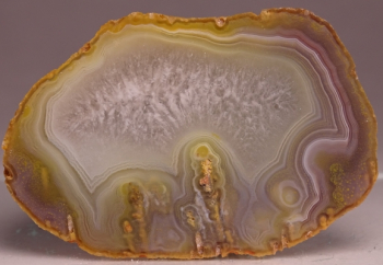 Agate Creek Agate from Etheridge Shire, Queensland, Australia [db_pics/pics/b_DSC05940.jpg]