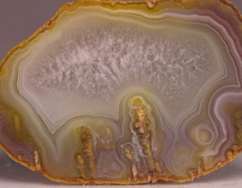 Agate Creek Agate from Etheridge Shire, Queensland, Australia [db_pics/pics/b_DSC05941.jpg]