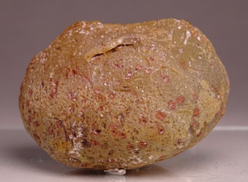 Agate Creek Agate from Etheridge Shire, Queensland, Australia [db_pics/pics/b_DSC05946.jpg]